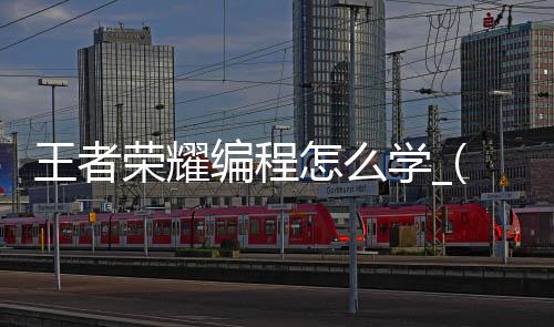 王者荣耀编程怎么学_(王者荣耀用什么程序编程)