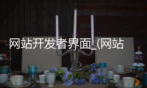 网站开发者界面_(网站开发者界面在哪)