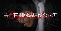关于甘肃网站建设公司怎么报价的信息 