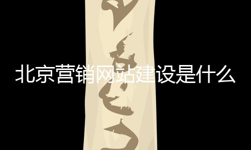 北京营销网站建设是什么(北京网络营销公司网页)