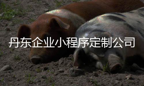 丹东企业小程序定制公司(丹东文旅小程序)