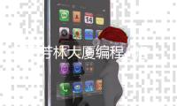 洛阳芳林大厦编程_(洛阳芳林路打通规划图) 