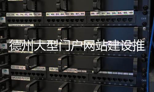 德州大型门户网站建设推广（德州网站建设哪家便宜）
