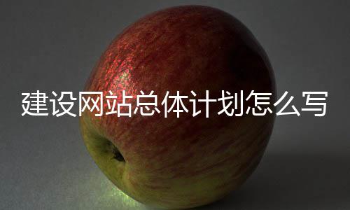 建设网站总体计划怎么写_(网站总体规划设计包含的内容)