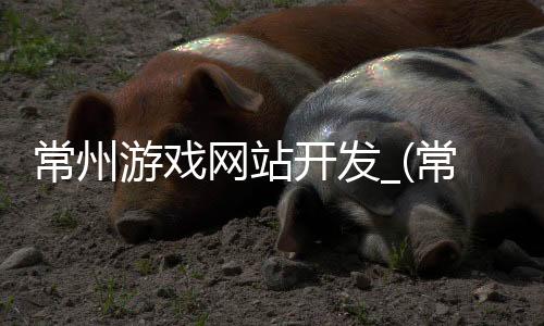 常州游戏网站开发_(常州游戏厅什么时候能开)