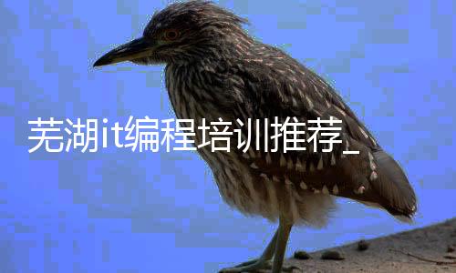 芜湖it编程培训推荐_(芜湖it编程培训推荐机构)